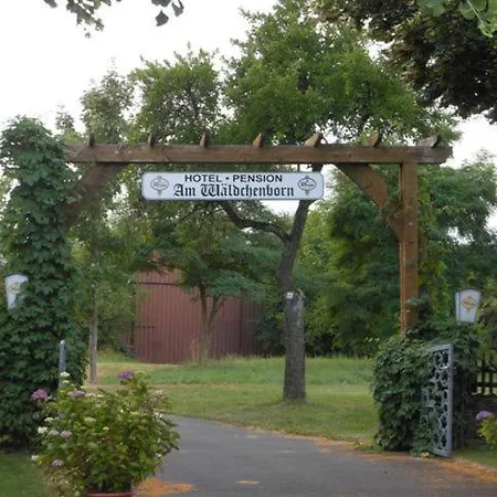 Hotel-pension Am Wäldchenborn Gasthof Manderscheid