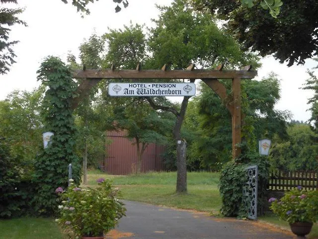 Hotel-pension Am Waldchenborn ゲストハウス マンダーシャイト